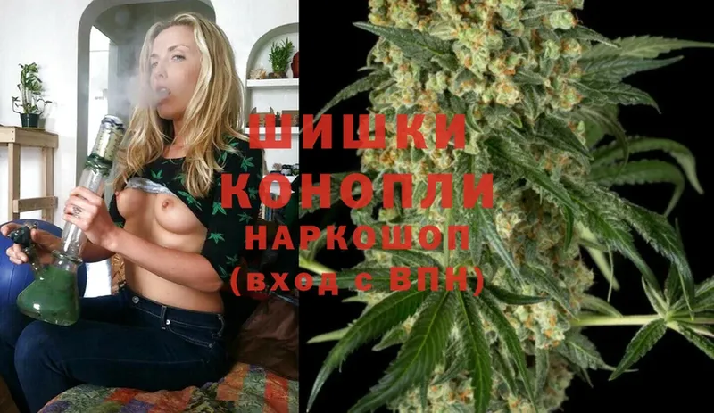 гидра ТОР  Данилов  Канабис White Widow 